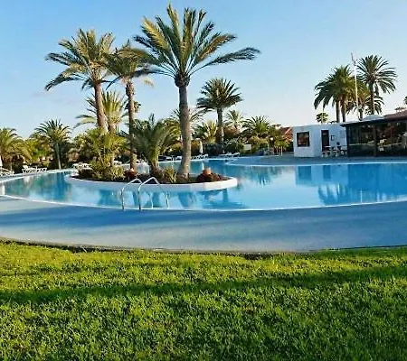 Sun Club P65 Premium Μασπαλόμας